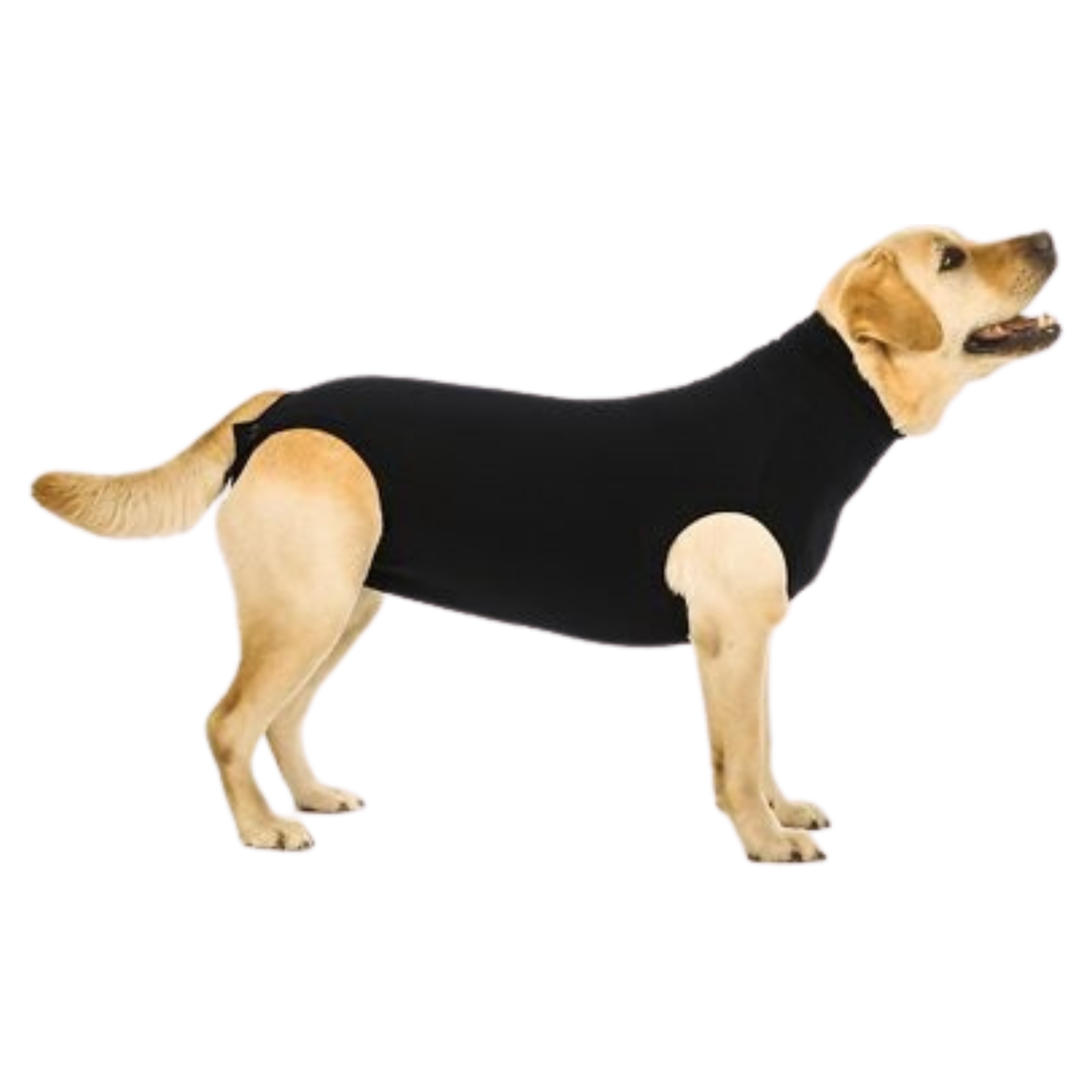 Suitical Recovery Suit Dog Size Large