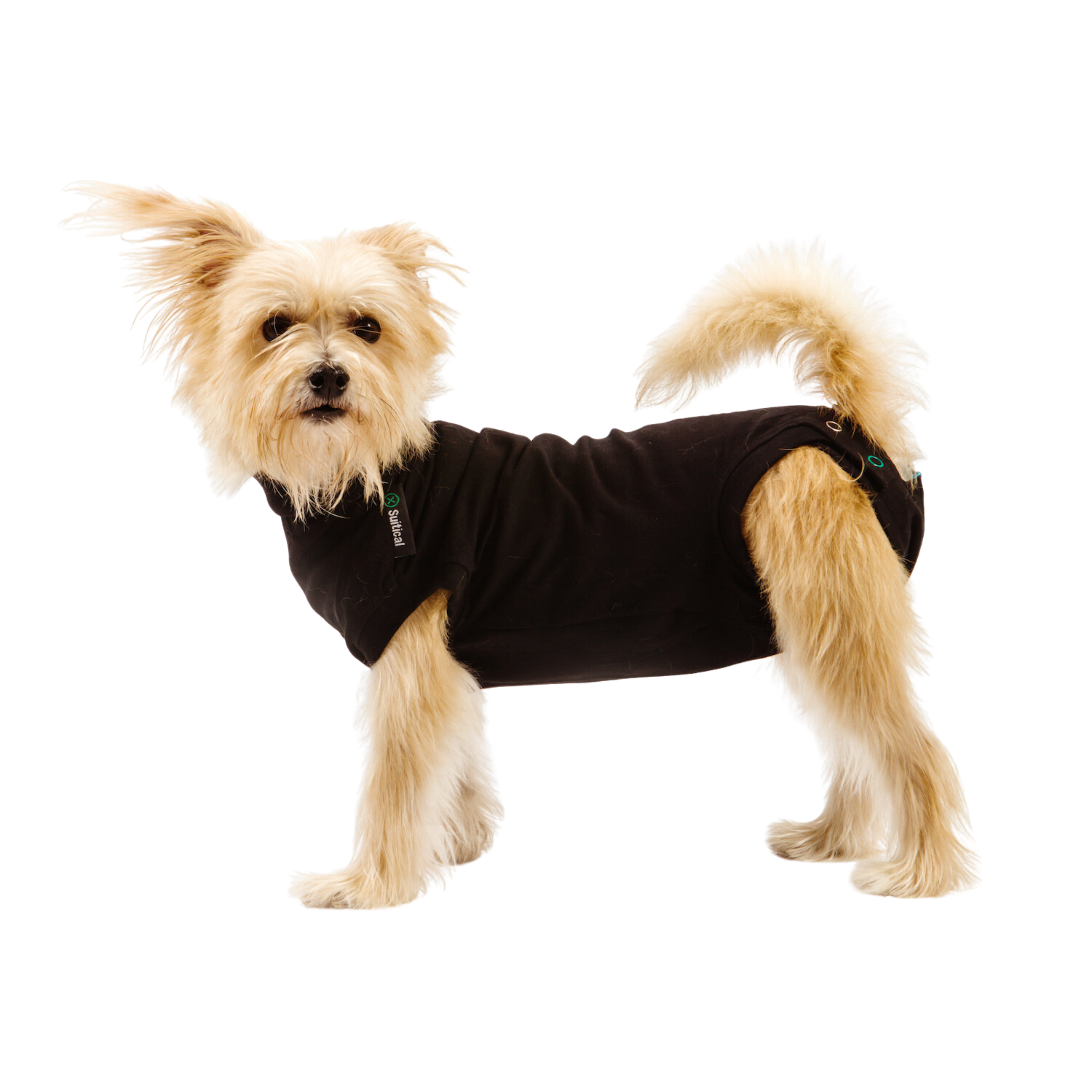 Suitical Recovery Suit Dog Size XXX-Small