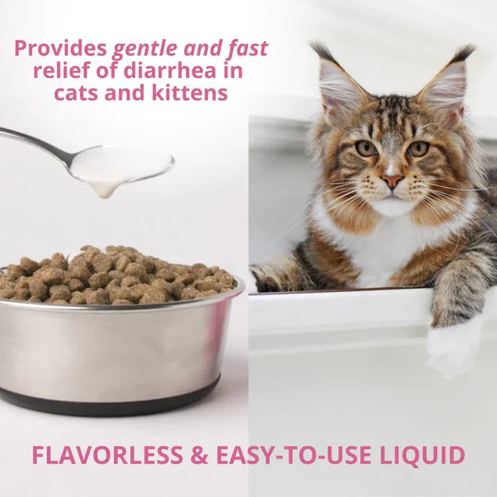 Under The Weather Cat Anti-Diarrhea 4fl oz