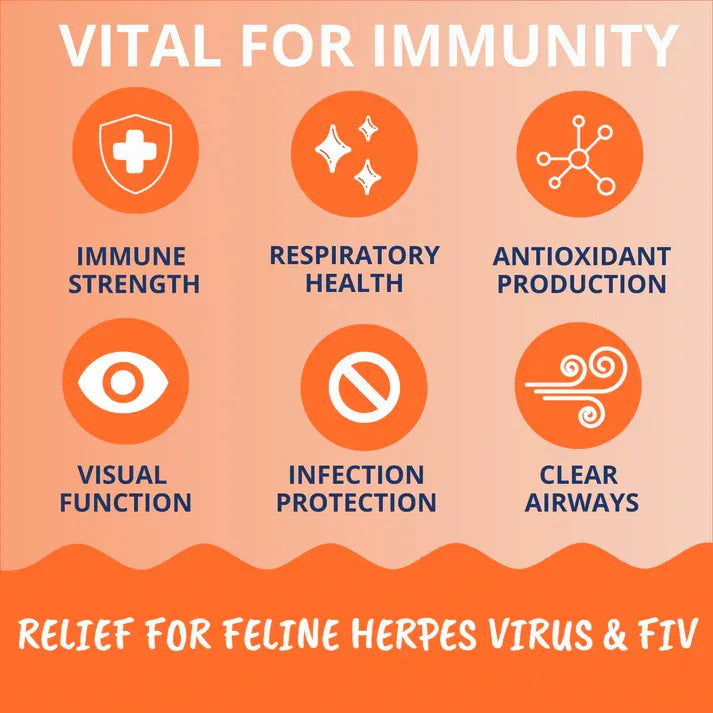 Under The Weather Cat L-Lysine Soft Chews 60ct 3.17oz/90g