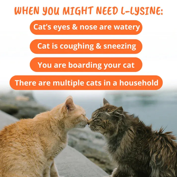 Under The Weather Cat L-Lysine Soft Chews 60ct 3.17oz/90g