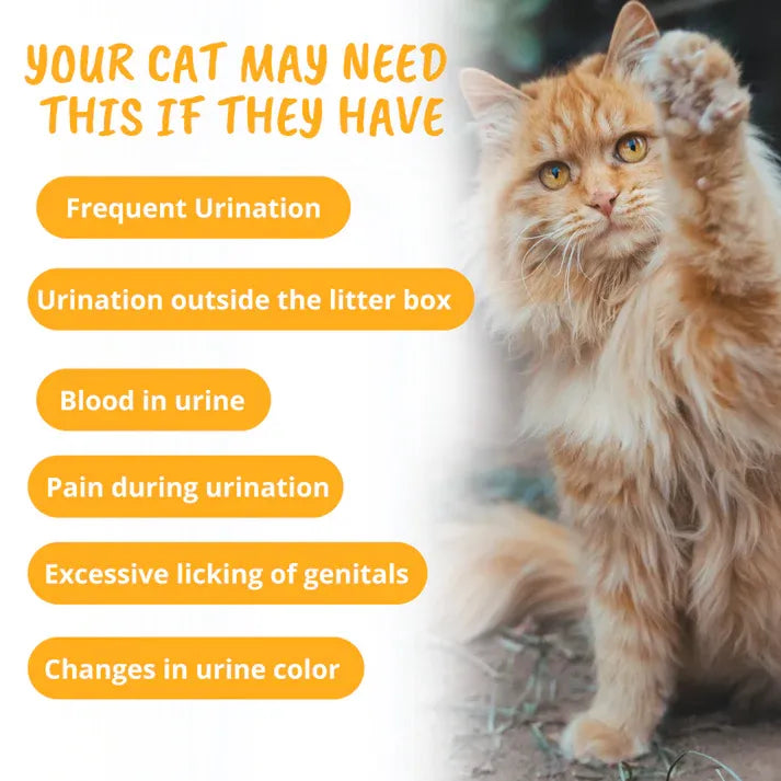 Under The Weather Cat Urinary Soft Chews 60ct 3.17oz/90g