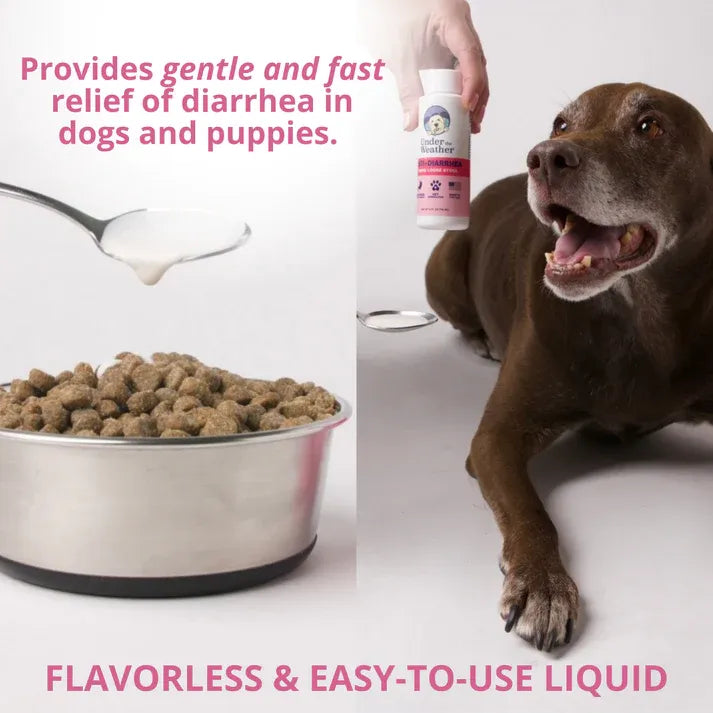 Under The Weather Dog Anti-Diarrhea 4fl oz