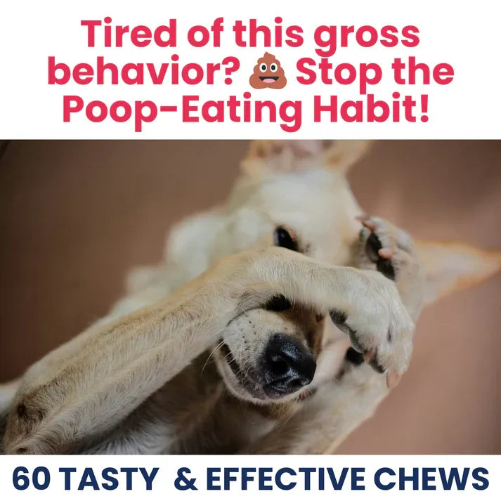 Under The Weather Dog Poop Eating Deterrent Soft Chew Vet Strength 60ct 4.23oz/120g