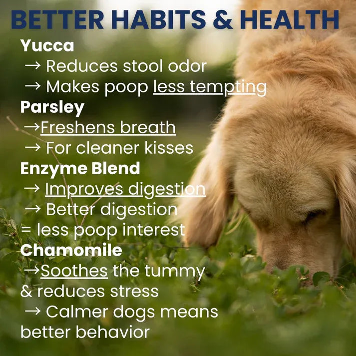 Under The Weather Dog Poop Eating Deterrent Soft Chew Vet Strength 60ct 4.23oz/120g