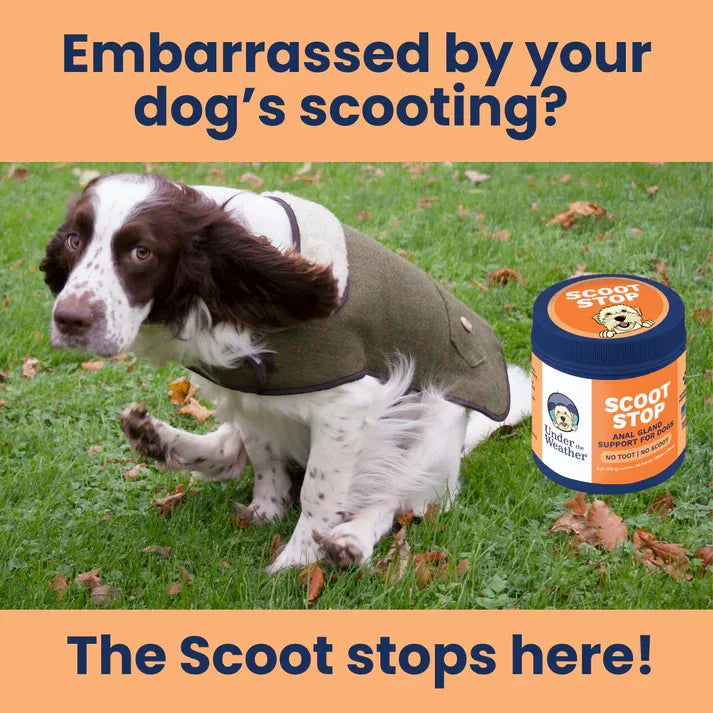 Under The Weather Dog Scoot Stop Anal Gland Support 60ct 3.23oz/120g