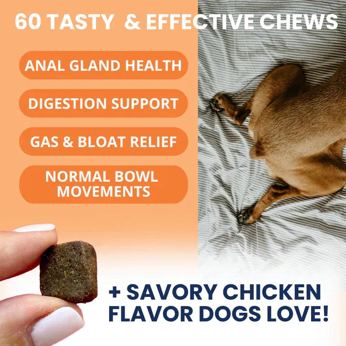 Under The Weather Dog Scoot Stop Anal Gland Support 60ct 3.23oz/120g