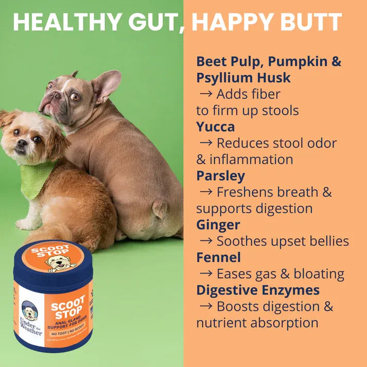 Under The Weather Dog Scoot Stop Anal Gland Support 60ct 3.23oz/120g
