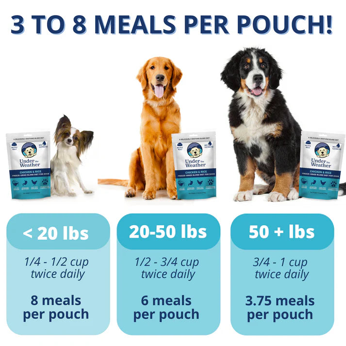 Under The Weather Freeze Dried Bland Diet For Dogs Chicken & Rice 6oz/170g