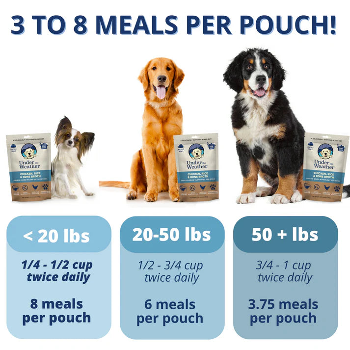 Under The Weather Freeze Dried Bland Diet For Dogs Chicken, Rice & Bone Broth 6oz/170g