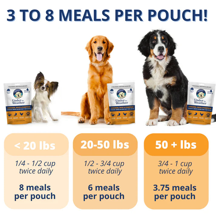 Under The Weather Freeze Dried Bland Diet For Dogs Chicken, Rice & Pumpkin 6oz/170g