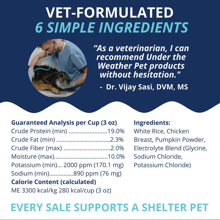 Under The Weather Freeze Dried Bland Diet For Dogs Chicken, Rice & Pumpkin 6oz/170g