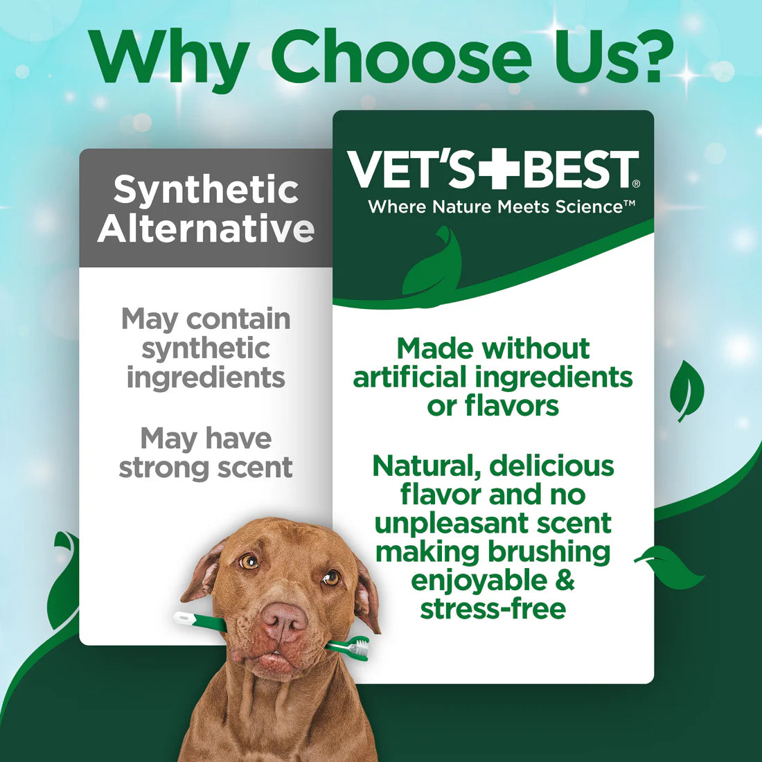 Vet'S Best Dental Kit