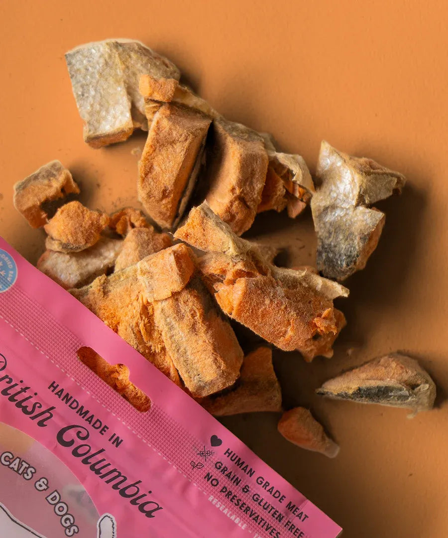 Wild Vibes Freeze Dried Salmon With Bone Broth 75G