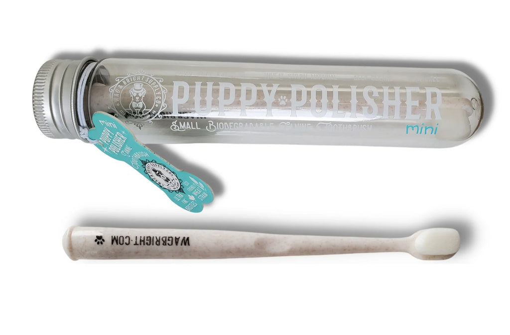 Wag & Bright Polisher Eco Toothbrush Mini/Small