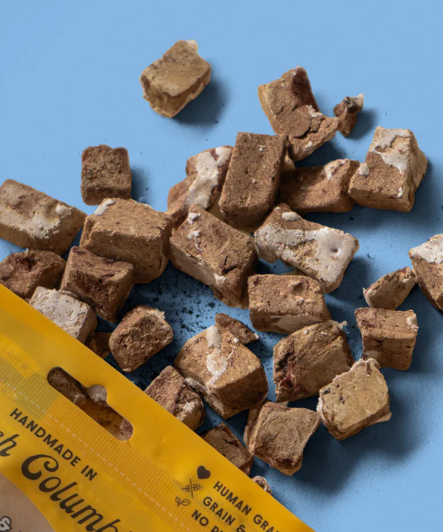 Wild Vibes Freeze Dried Beef Liver & Bone Broth 80G