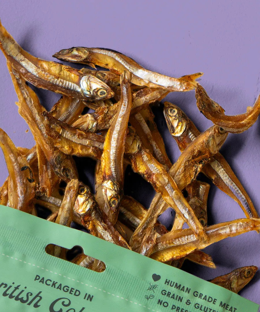 Wild Vibes Sun-Dried Sardines 108G