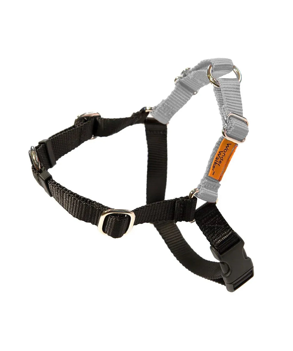 Wonder Walker Harness Silver Tiny