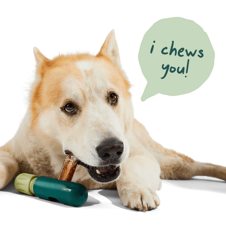 Woof BullySafe Bully Stick & Chew Holder