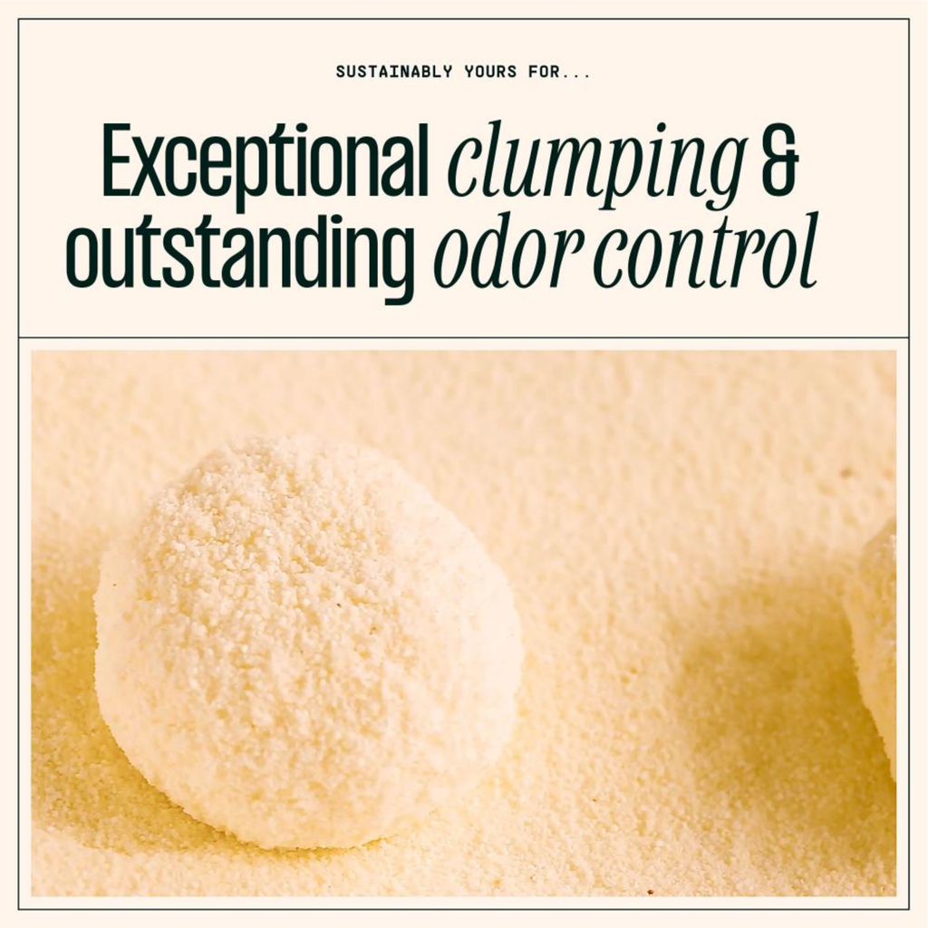 Sustainably Yours Multi-Cat Fine Grain Litter 13Lb/5.9Kg