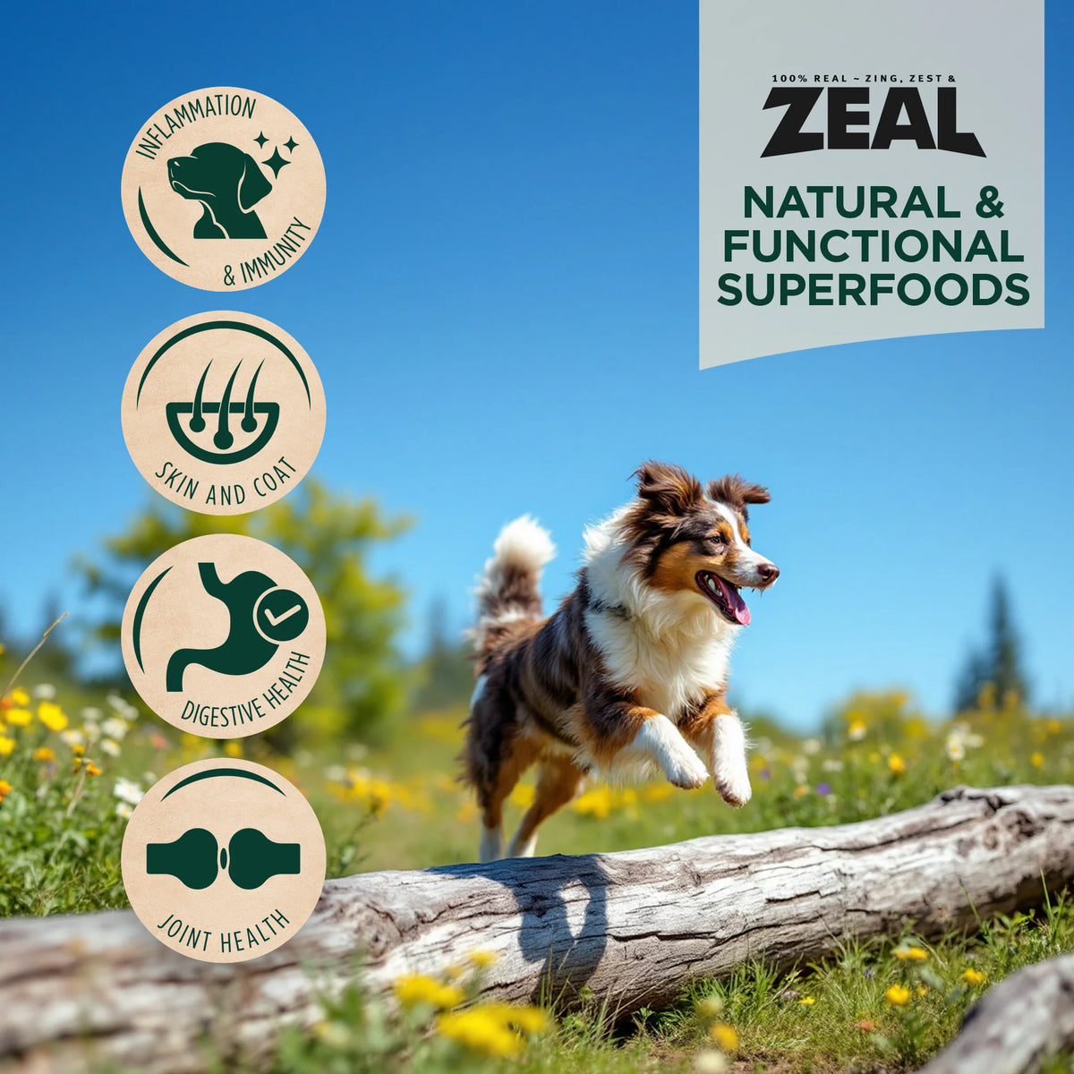 Zeal Dog Gently Air-Dried Beef 5oz/142g