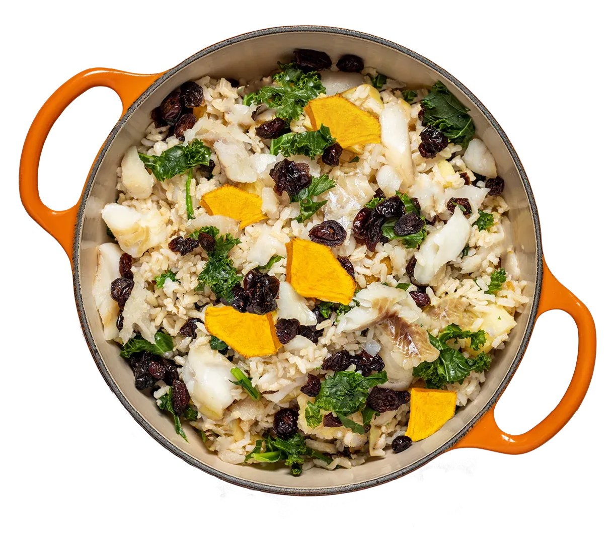 Tom & Sawyer Fisherman'S Best Friend 16Oz/454G