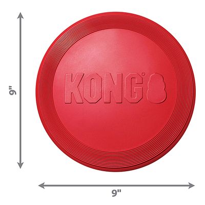 Kong Flyer Large